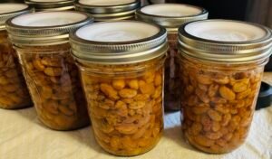 canning pinto beans