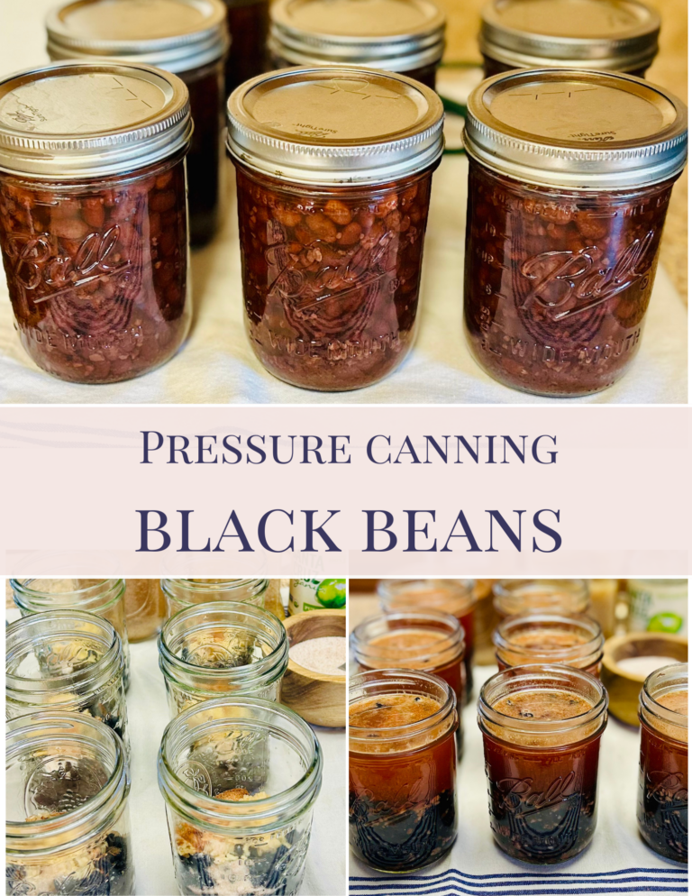 Pressure Canning Black Beans