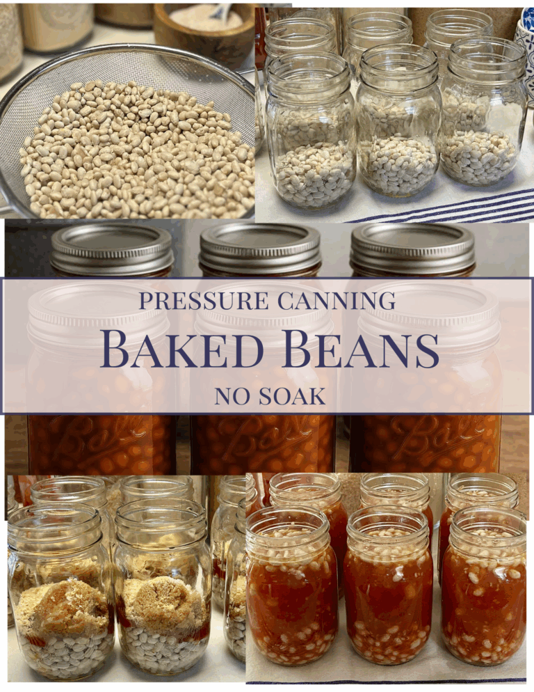 Pressure Canning Baked Beans