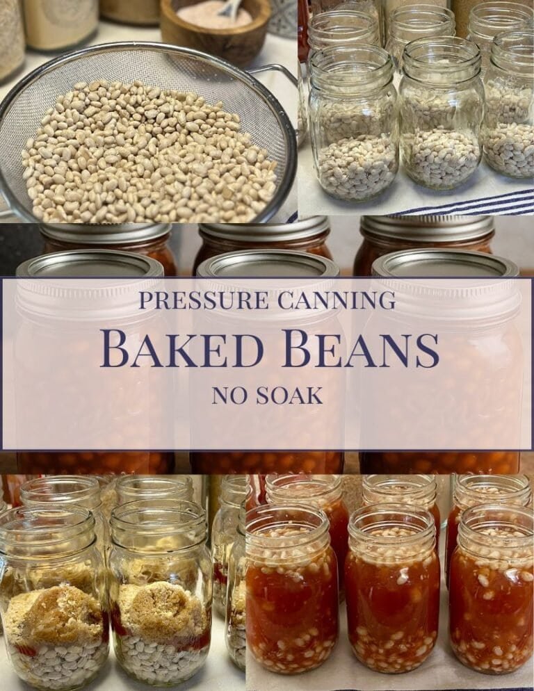Canning Baked Beans